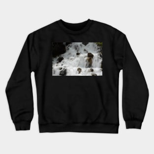 Singing  Waterfall Crewneck Sweatshirt